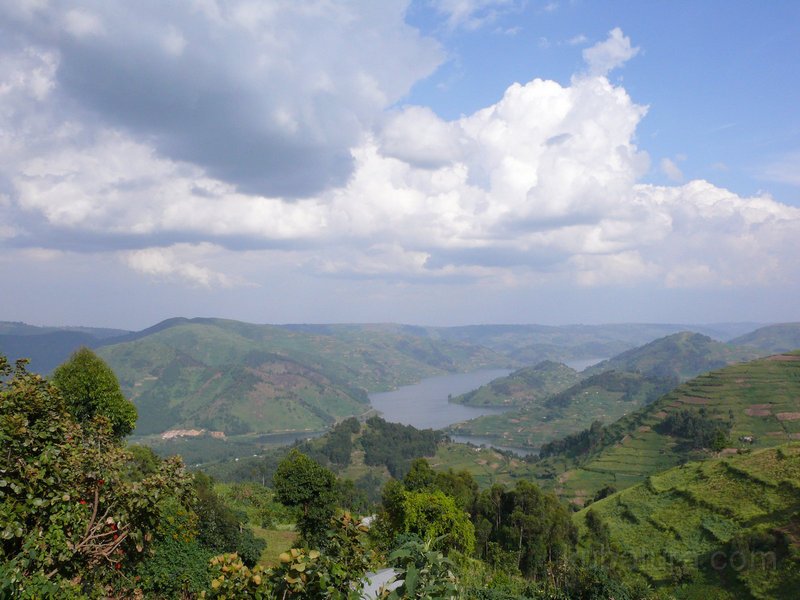 544 532 P1140250.jpg